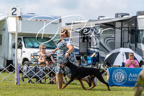 20190803-DSC02406