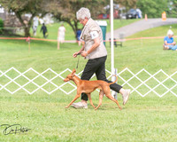 20250628-DSC08296