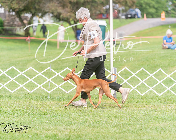 20250628-DSC08296