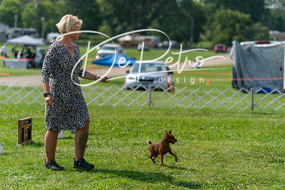 20240816-DSC00353