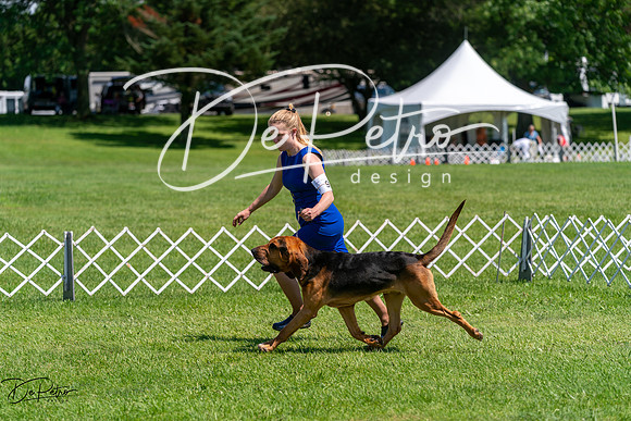 20240630-DSC01934