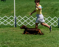 20250629-DSC09540