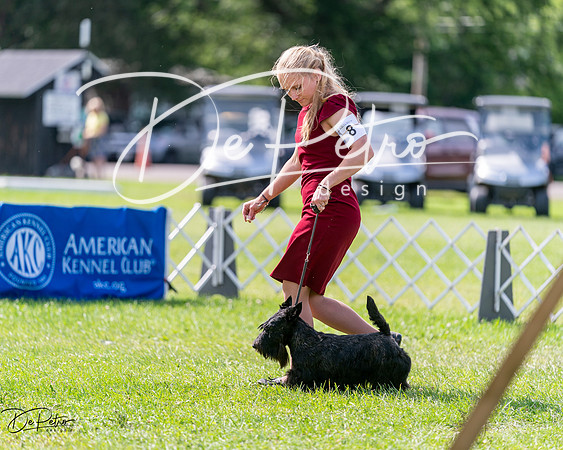 20240630-DSC03643