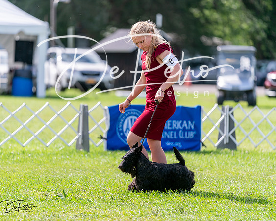 20240630-DSC03653
