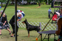 20250628-DSC07992