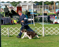 20240913-DSC00044