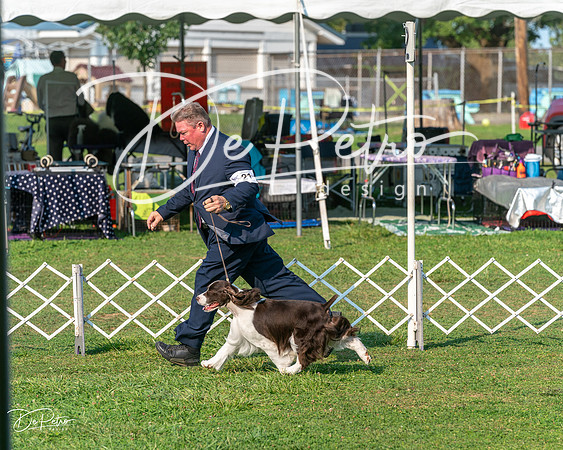 20240913-DSC00044