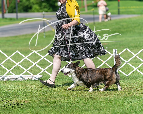 20250629-DSC00846