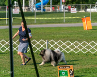20240913-DSC00092