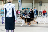 20230226-DSC02706