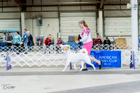 20230226-DSC02712