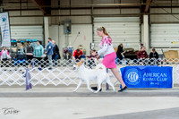 20230226-DSC02714