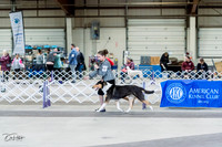20230226-DSC02718