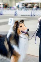 20230226-DSC02773