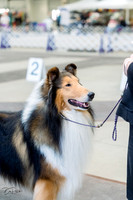 20230226-DSC02774