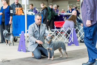 20230226-DSC00926