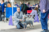 20230226-DSC00927