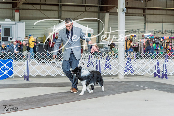 20230226-DSC01132