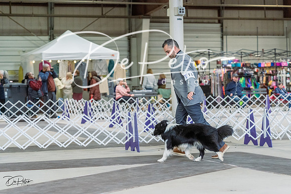 20230226-DSC01148