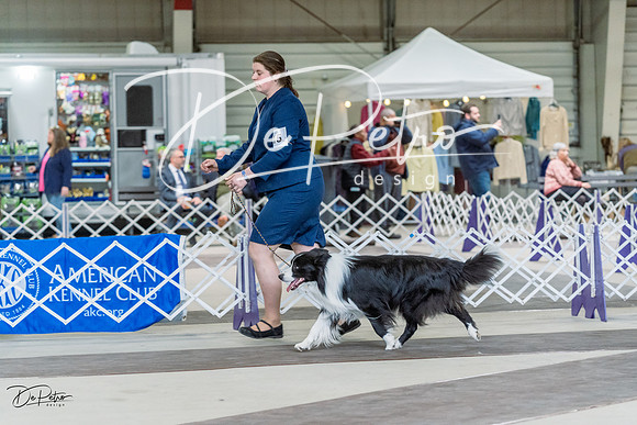 20230226-DSC01200