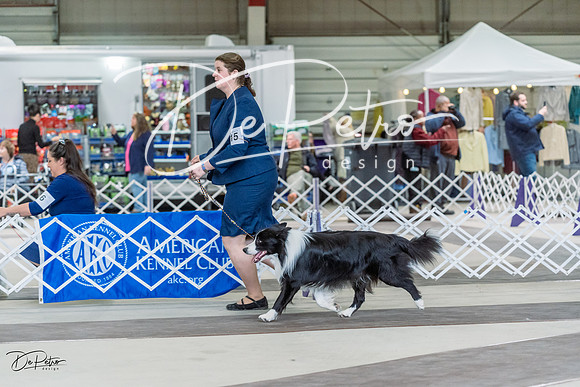 20230226-DSC01202