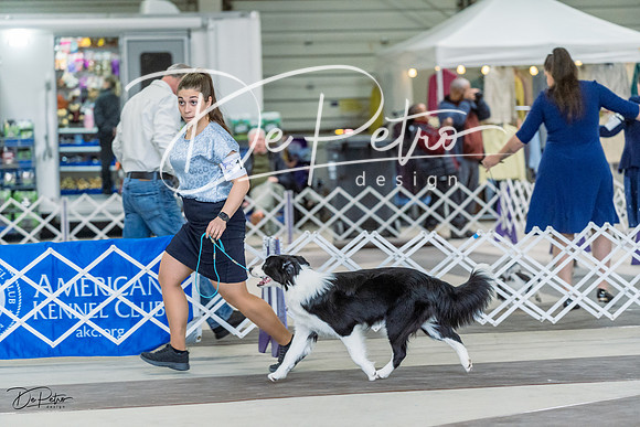 20230226-DSC01223