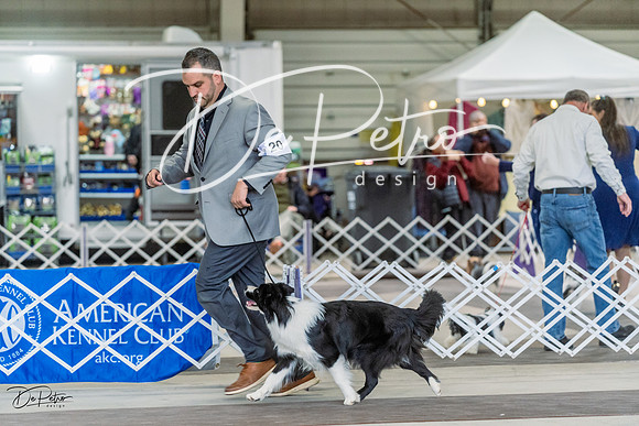 20230226-DSC01230