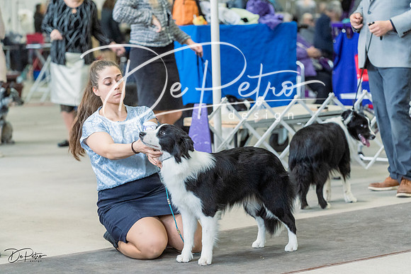 20230226-DSC01241