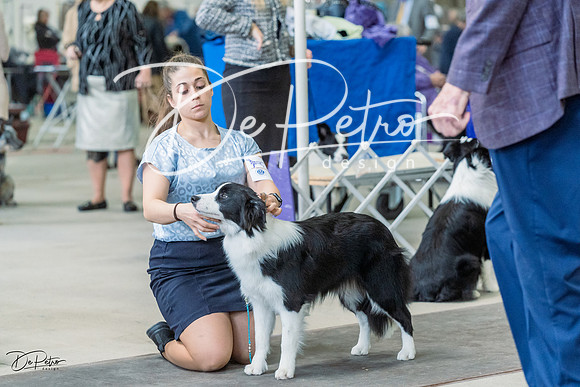 20230226-DSC01243