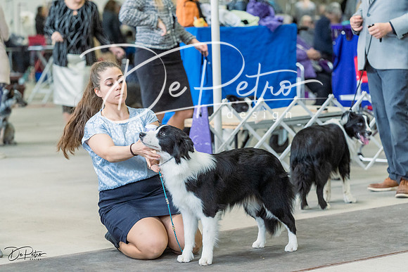 20230226-DSC01242