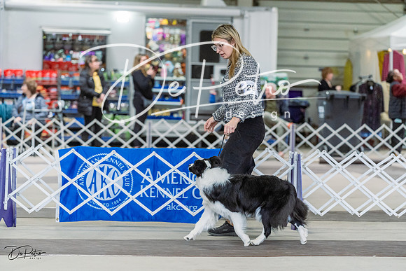20230226-DSC01349