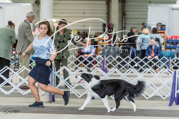 20230226-DSC01361