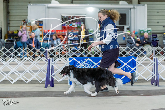 20230226-DSC01452