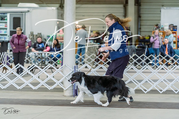 20230226-DSC01459