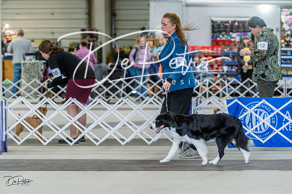 20230226-DSC01474