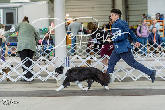 20230226-DSC01500