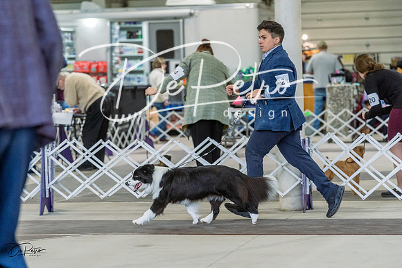 20230226-DSC01503