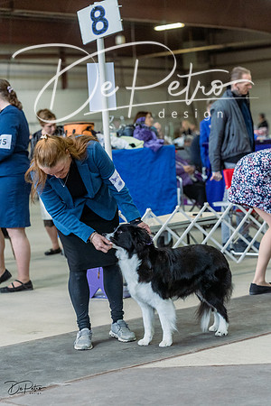 20230226-DSC01505