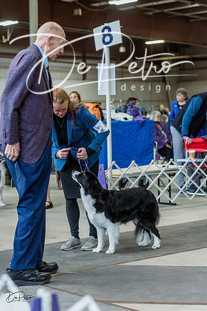 20230226-DSC01515