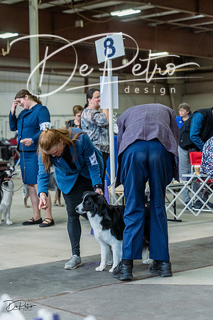 20230226-DSC01511
