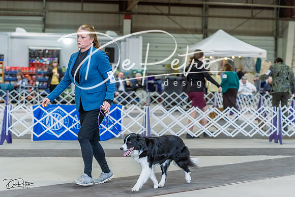 20230226-DSC01534