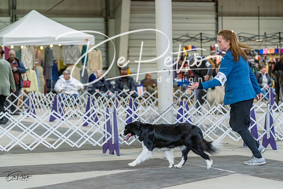 20230226-DSC01544