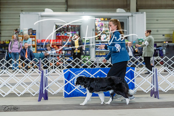 20230226-DSC01554