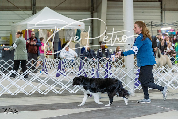 20230226-DSC01546
