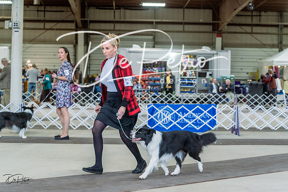 20230226-DSC01609