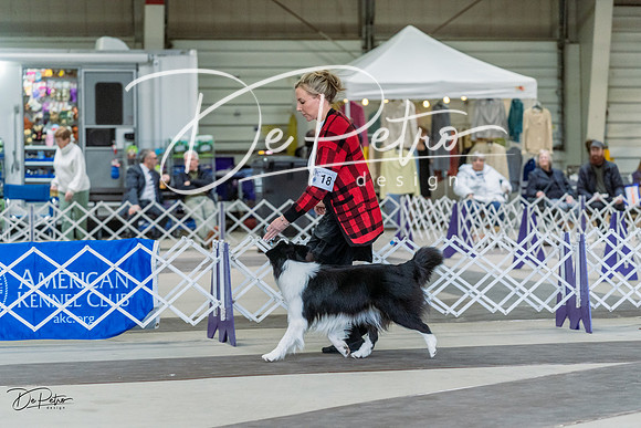 20230226-DSC01628