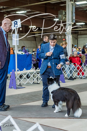 20230226-DSC01661