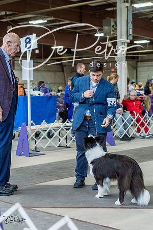 20230226-DSC01662