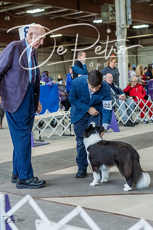 20230226-DSC01679