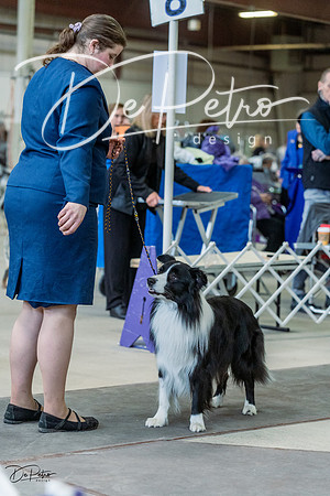 20230226-DSC01690